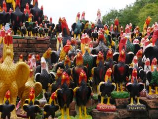 i'm not really sure what's going on with the roosters at this temple. ayutthaya.