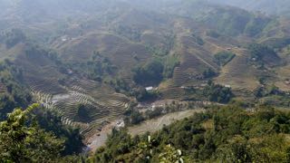 mountainside rice terraces. sapa.