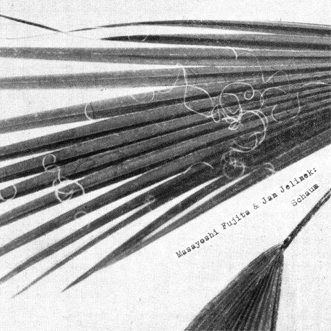 Masayoshi Fujita, Jan Jelinek — Schaum