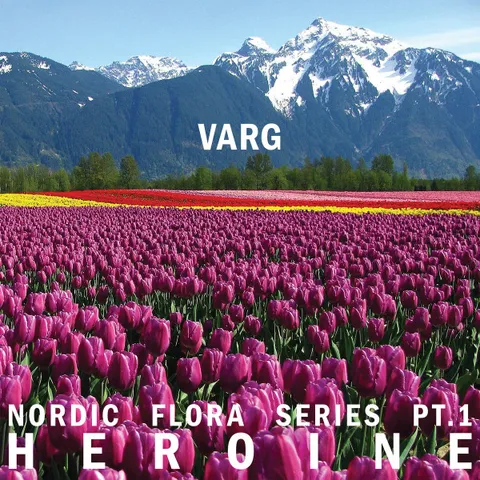 Varg — Nordic Flora Series Pt.1: Heroine