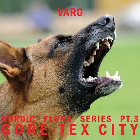 Varg — Nordic Flora Series Pt.3: Gore​-​Tex City
