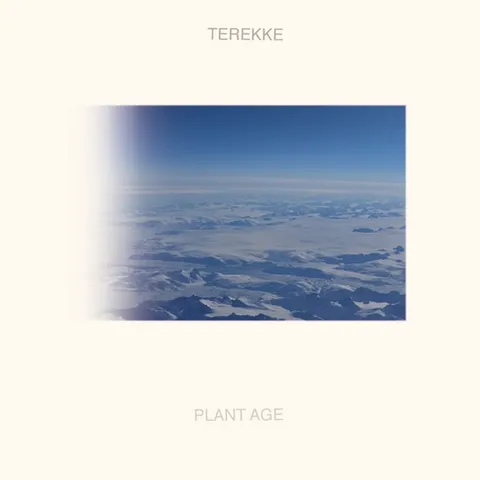 Terekke — Plant Age