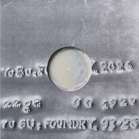 Yu Su — Foundry