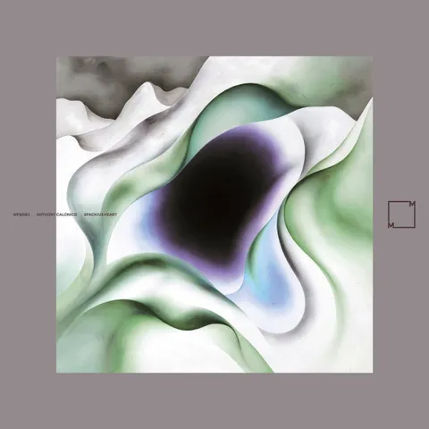 Anthony Calonico — Spacious Heart